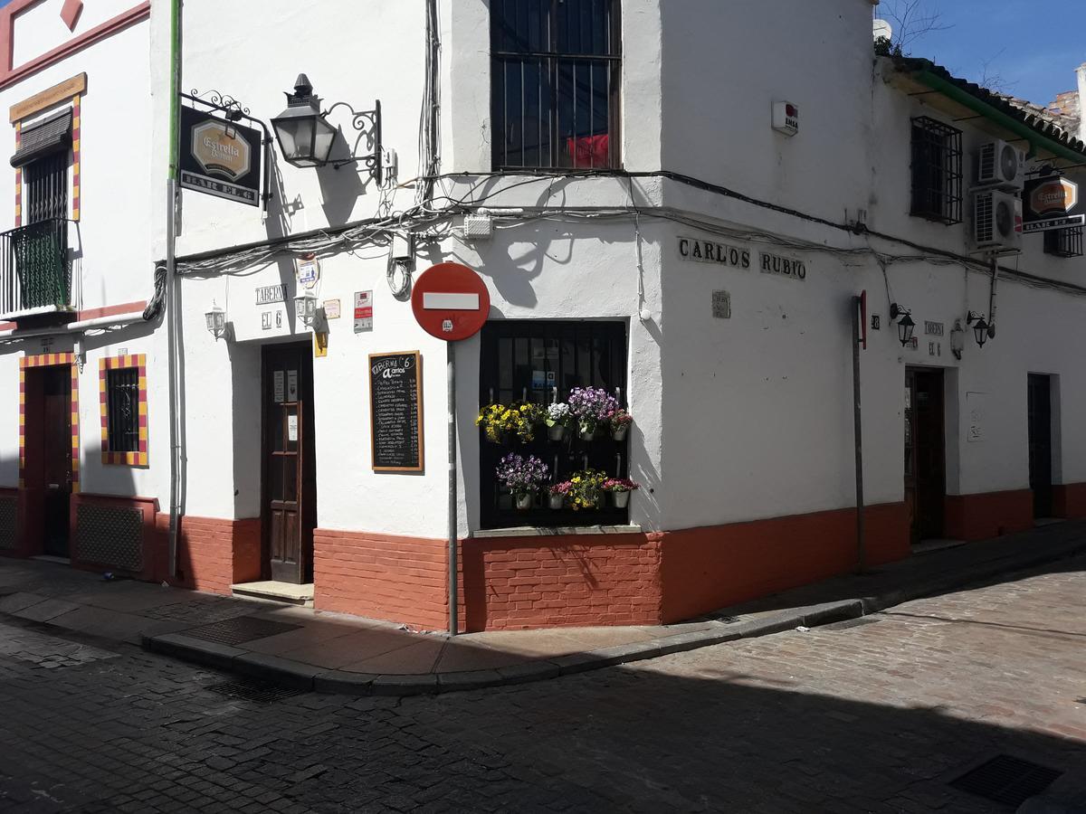 Apartamento Sleep & Shower In A Typical District