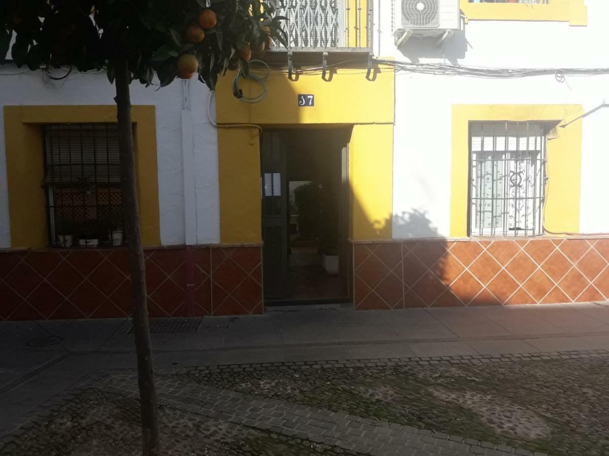 Apartamento Sleep & Shower In A Typical District Córdoba