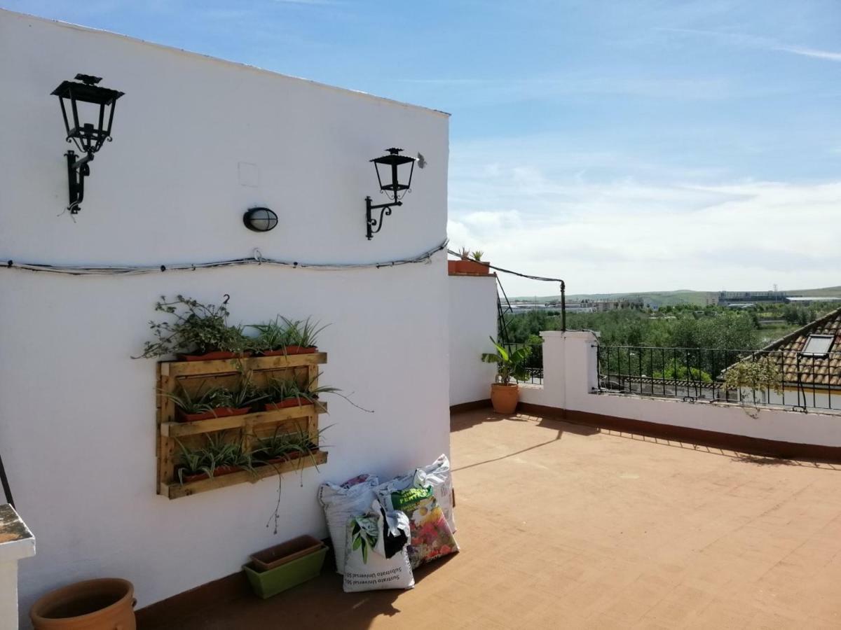 Apartamento Sleep & Shower In A Typical District *